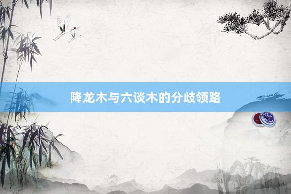 降龙木与六谈木的分歧领路