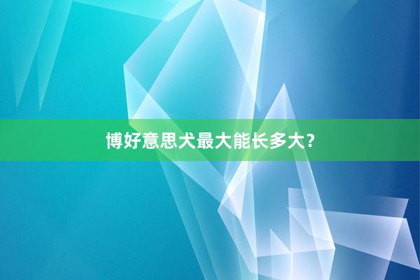 博好意思犬最大能长多大？