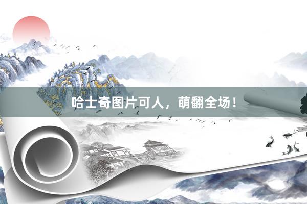 哈士奇图片可人，萌翻全场！