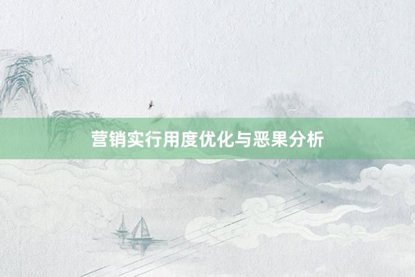 营销实行用度优化与恶果分析